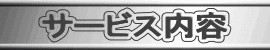 i`Zjz[͂̂̑ՃT[rX